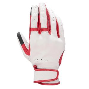 Alpinestars Dyno Motorcycle Gloves Ruby Red 1