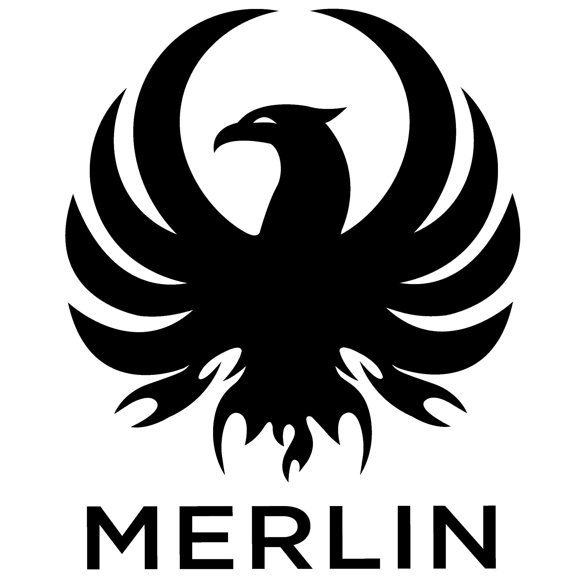 Merlin Boots